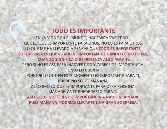 Todo es importante Diciembre 21 de 2011